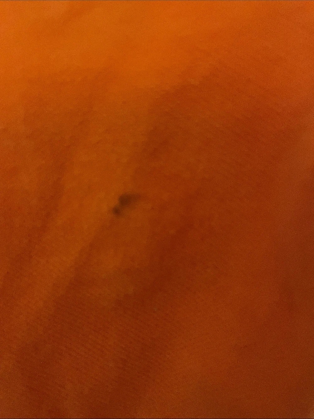 Vintage Ralph Lauren Kids Orange Polo Shirt 12 months